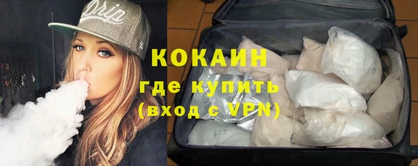спиды Богданович