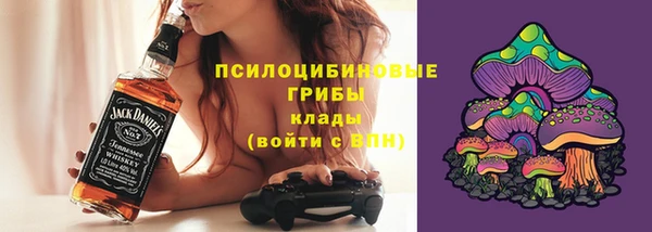 мескалин Богородицк