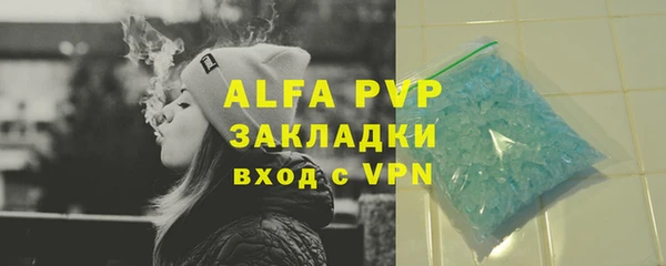 спиды Богданович