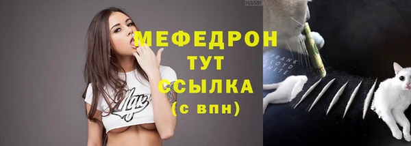 спиды Богданович