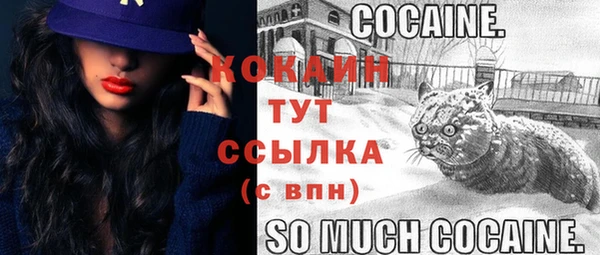 мескалин Богородицк