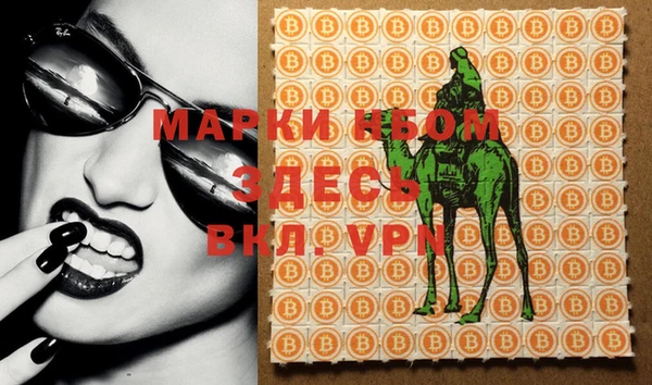 спиды Богданович