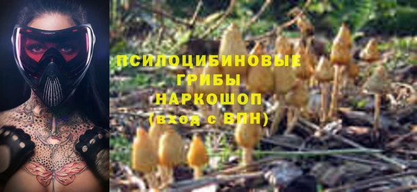 гашик Иннополис