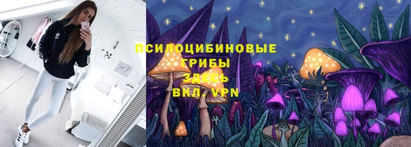 спиды Богданович