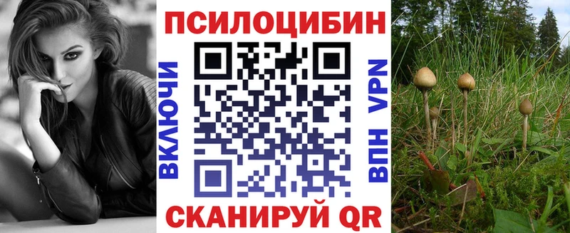 где купить наркоту  гидра как зайти  Псилоцибиновые грибы мухоморы  Дальнегорск 